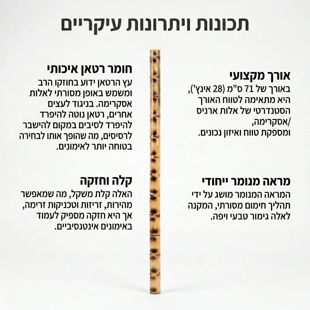 תמונת מוצר 3